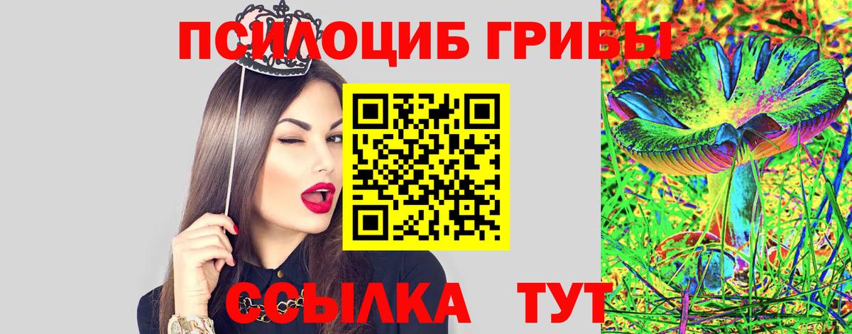 Псилоцибиновые грибы ЛСД  Вход с VPN  Заринск 